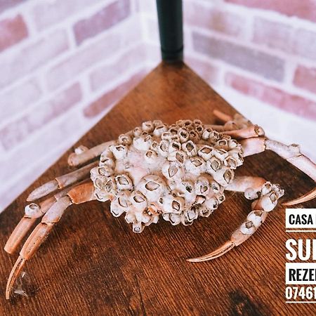 Casa De Vacanta Rodica Sulina Zewnętrze zdjęcie