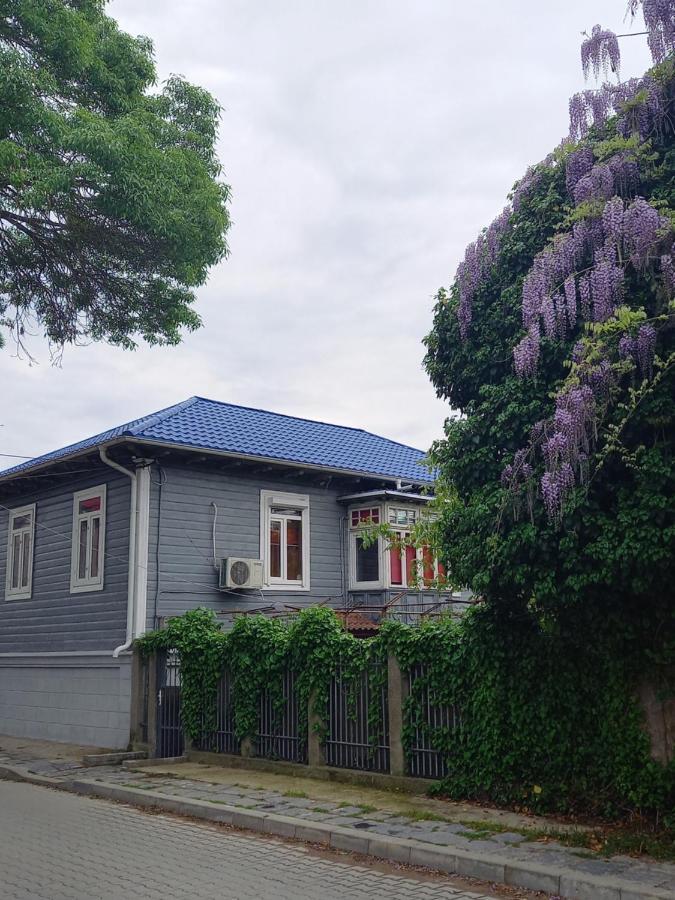 Casa De Vacanta Rodica Sulina Zewnętrze zdjęcie