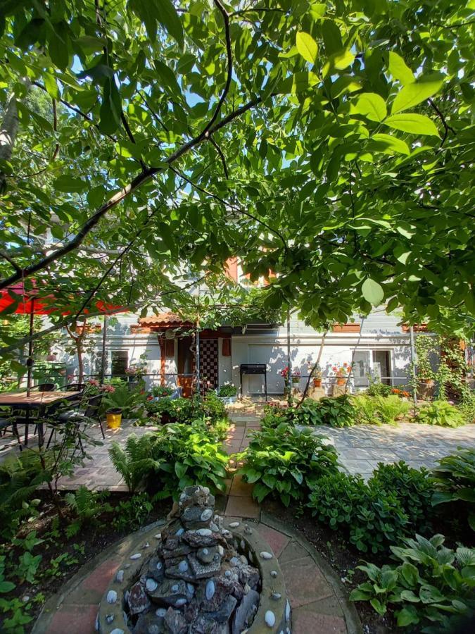 Casa De Vacanta Rodica Sulina Zewnętrze zdjęcie